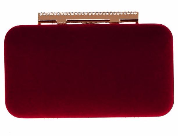 Festive Gift - Coast - Belline Velvet Clutch Bag
