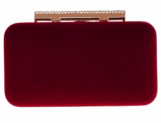 Festive Gift - Coast - Belline Velvet Clutch Bag